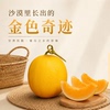 主图