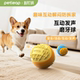 petleap狗狗互动发声磨牙球耐咬不坏洁齿玩具缓解拆家TPR材质安全
