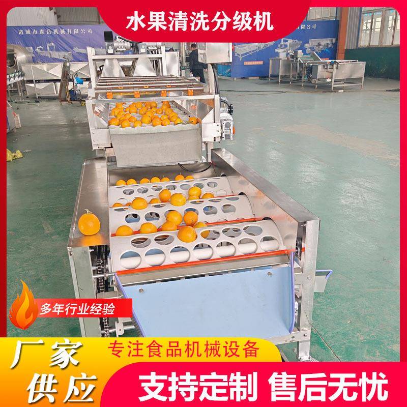 工业用水果蔬菜分选设备滚筒式机械橘子橙子选果机苹果分拣机