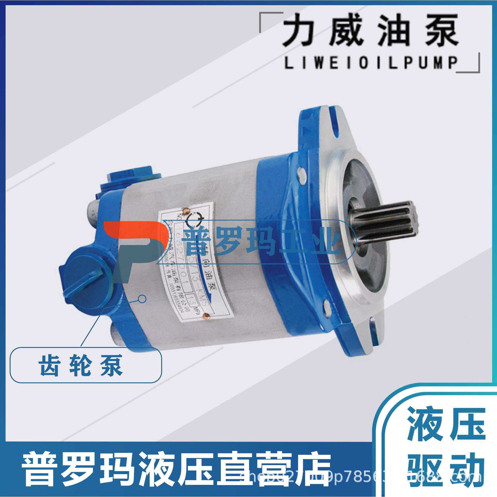 合肥力威 QC10/20-WP6 汽车油泵转向泵 合肥天力威方向动力泵