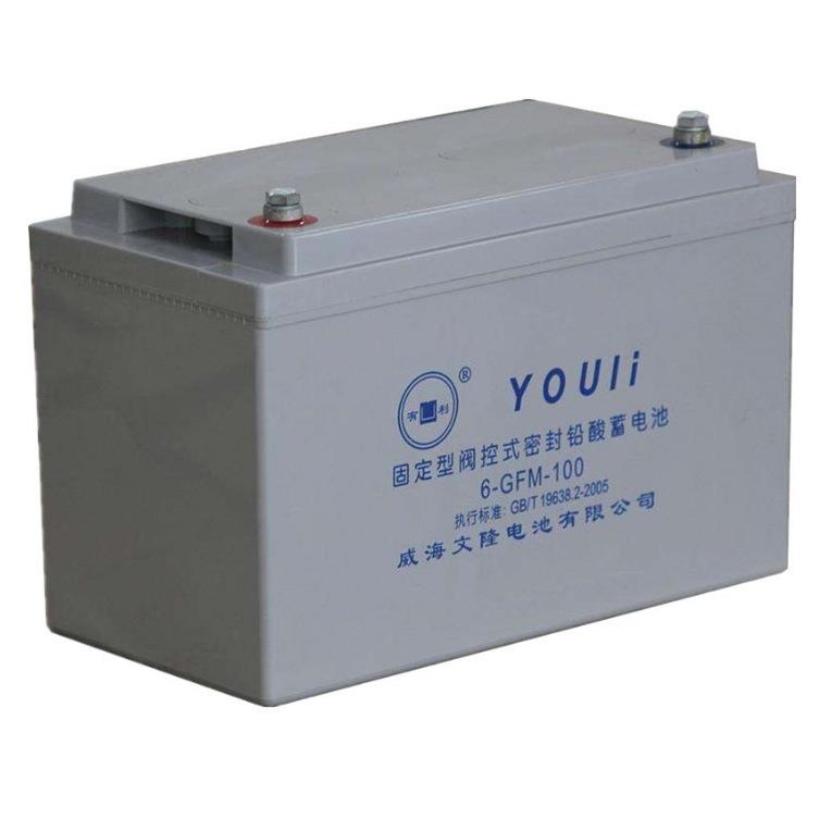 YOULI蓄电池GFM-800机房铅酸免维护储能应急电源2V蓄电池