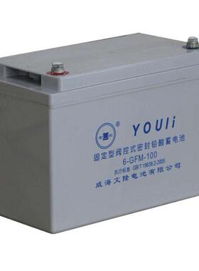 YOULI蓄电池GFM-800机房铅酸免维护储能应急电源2V蓄电池