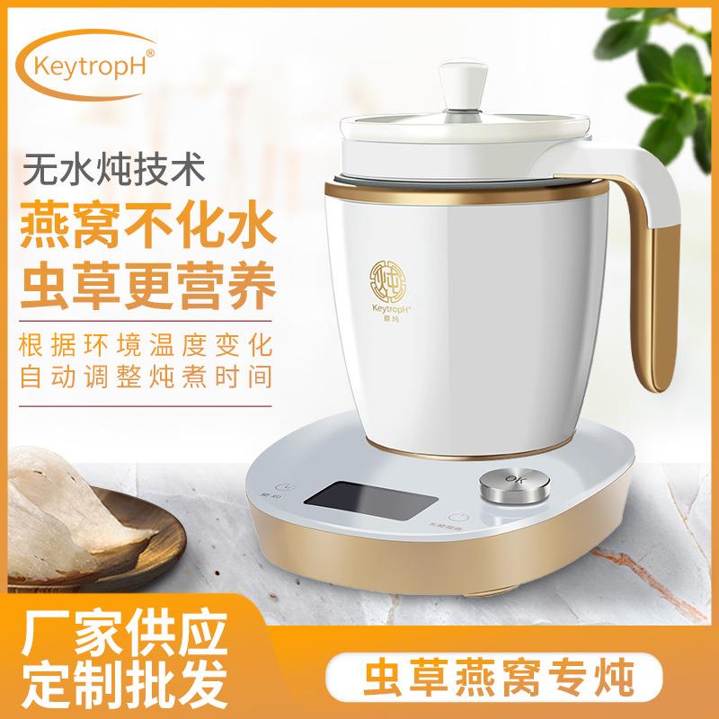 迷你陶瓷恒温电炖杯套装家用多功能养生杯办公热奶小型煮粥杯温控