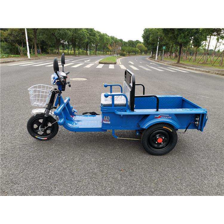 电动三轮车货车新款家用电瓶三轮车成人代步车载重小货运平板车