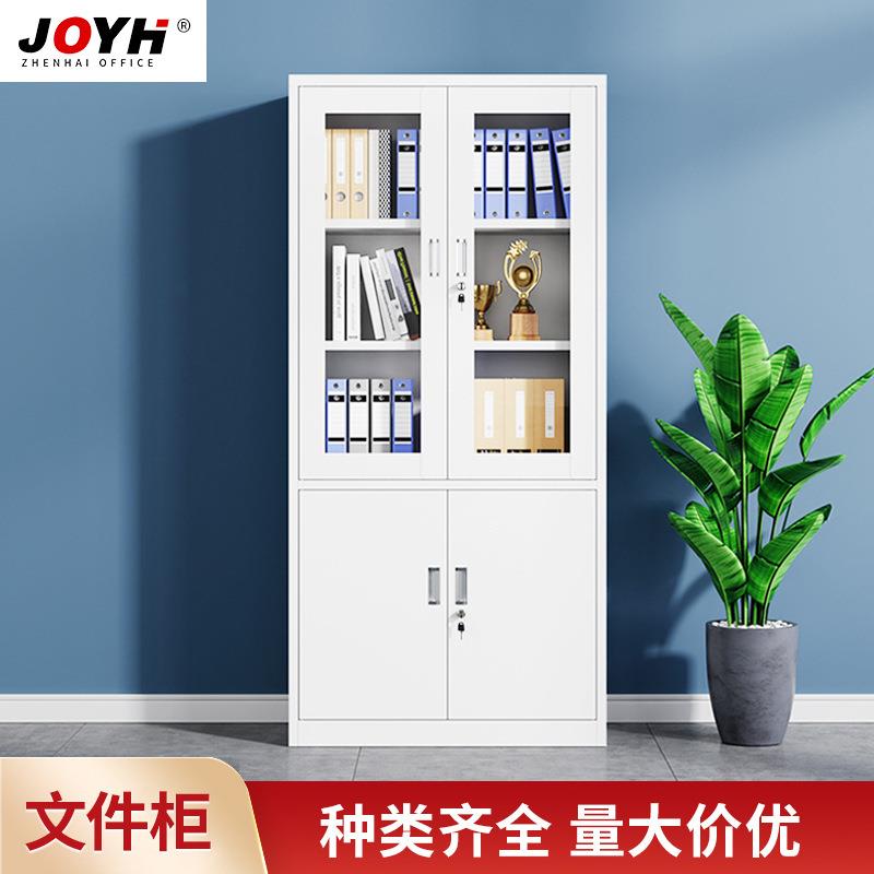 钢制文件柜铁皮办公资料文件柜财务凭证档案柜二斗铁皮柜厂家直销