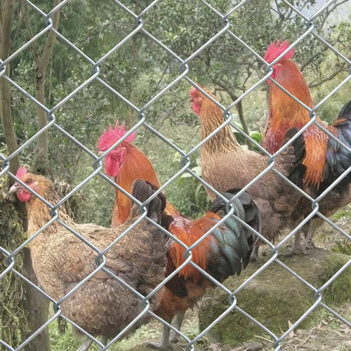 镀锌铁丝网钢丝网圈地果园围栏网养殖网牛羊猪狗围网围Z栏防锈加