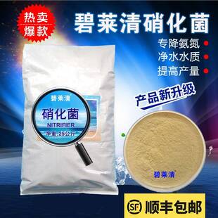 碧莱清硝化菌专降氨氮土塘工厂化等各模式均适合生化池挂膜快