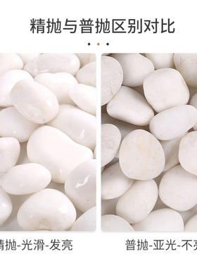 白色鹅卵石铺地造景雨花石鱼缸庭院铺路大小白石头天X然精抛白石