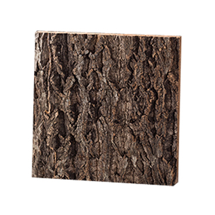 爬虫饲养箱生态橡木树皮造景版 背景板守宫蜥蜴陆龟玻璃箱木箱背景