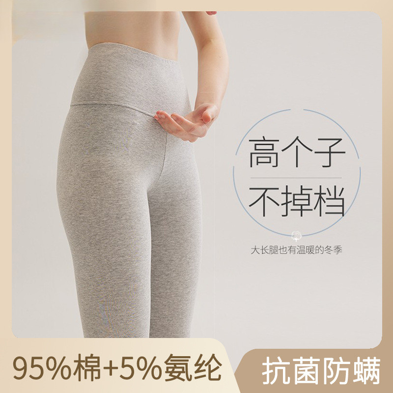 纯棉秋裤女学生款薄高腰春秋保暖