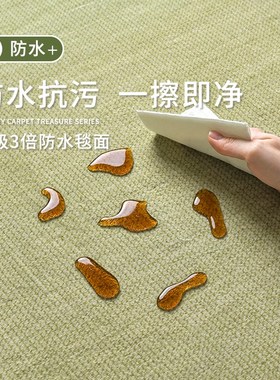 地毯客厅绿色2025新款免洗可擦卧D室床边地垫轻奢高级防水防污沙
