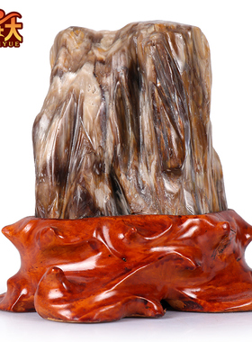 缅甸树化玉原石摆l件天然冰种硅化木木化石奇石客厅景观石观光石