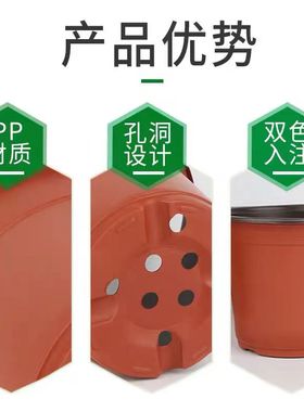 双色盆培育d盆加厚红色白色育苗盆多肉盆简约花盆一次性塑料花盆