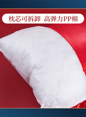 结婚抱枕一对婚庆婚房压床红色靠垫新娘坐垫婚礼T客厅沙发创意靠