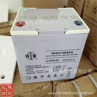 双登蓄电池双登铅酸12v65ah直流屏后备蓄电池联保