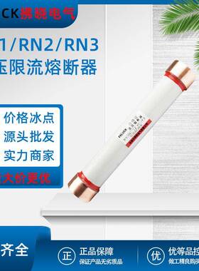 RN1/RN2/RN3RN4户内高压限流熔断器10KV陶瓷保险管0.5-30A75A200A