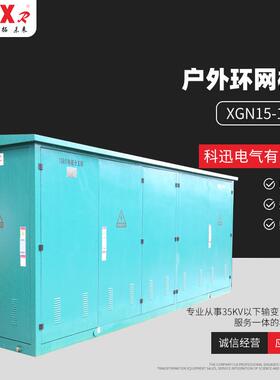 户外环网柜(XGN15-12)高压环网柜成套设备户外固体绝缘充气柜