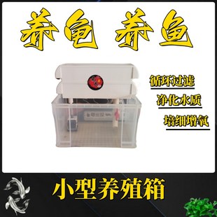乌龟缸循环过滤养龟箱周转箱透明龟箱养殖箱滴流盒小乌龟饲养盒新