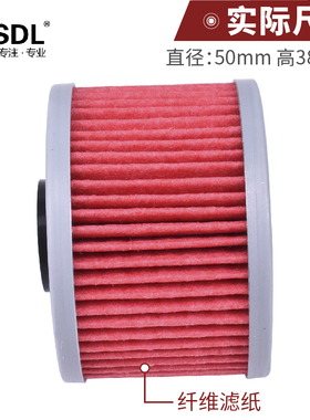 适配升仕310V机油滤芯ZT310wR/T/X幽灵ZT250S/R摩托车机油格滤清