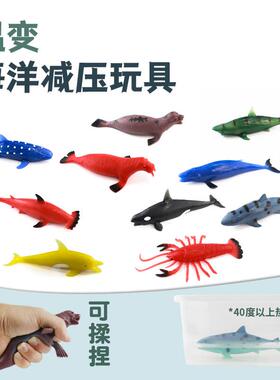温变海洋玩具解压TPR玩具捏捏乐仿真海洋动物玩具鲸鲨海豹
