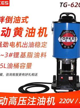 TG-620G220V电动高压注油器插电式黄油机加油泵