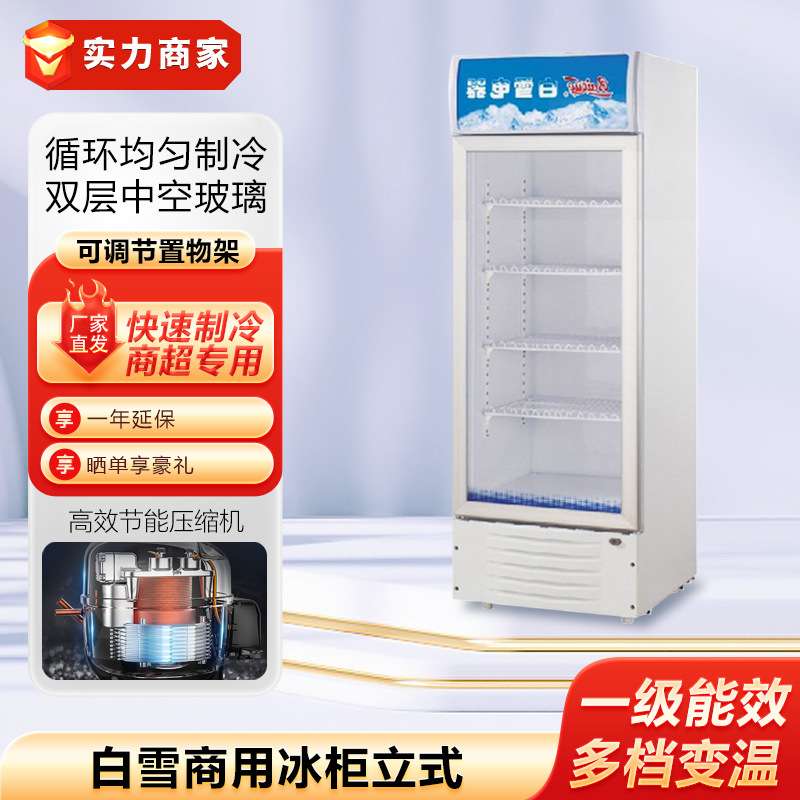 白雪冰柜立式陈列柜展示柜饮料柜啤酒柜冷柜点菜柜