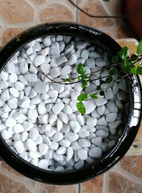 鹅卵石雨花石原石天然小石子鱼缸花盆鹅I软石装饰盆栽园艺五彩石