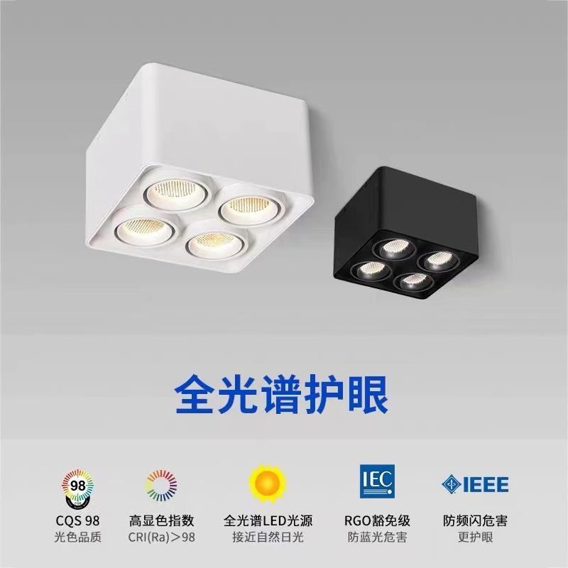 明装方形射灯双头斗胆灯led射灯双眼筒灯过道无主灯照明圆角灯