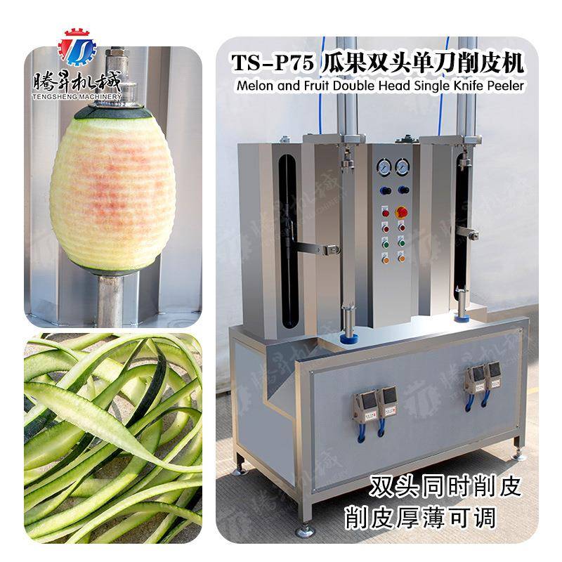 削皮机 菠萝蜜木瓜南瓜冬瓜削皮机 各类瓜果去皮机 腾昇机械出品