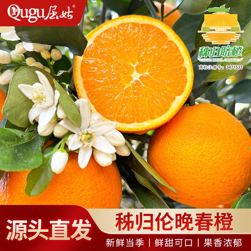 爆甜多汁 新鲜采摘 坏果包赔