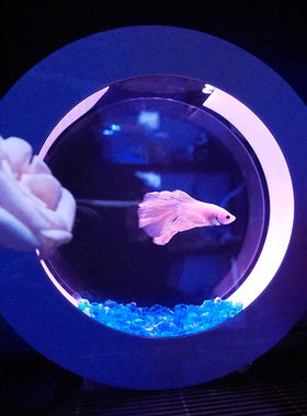 水母缸创意斗鱼缸生态懒人斗鱼缸迷你小型创意办公室桌面鱼缸O2