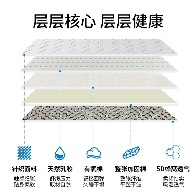 乳胶床垫b软垫家用卧室海绵垫被学生宿舍褥子租房折叠记忆双面