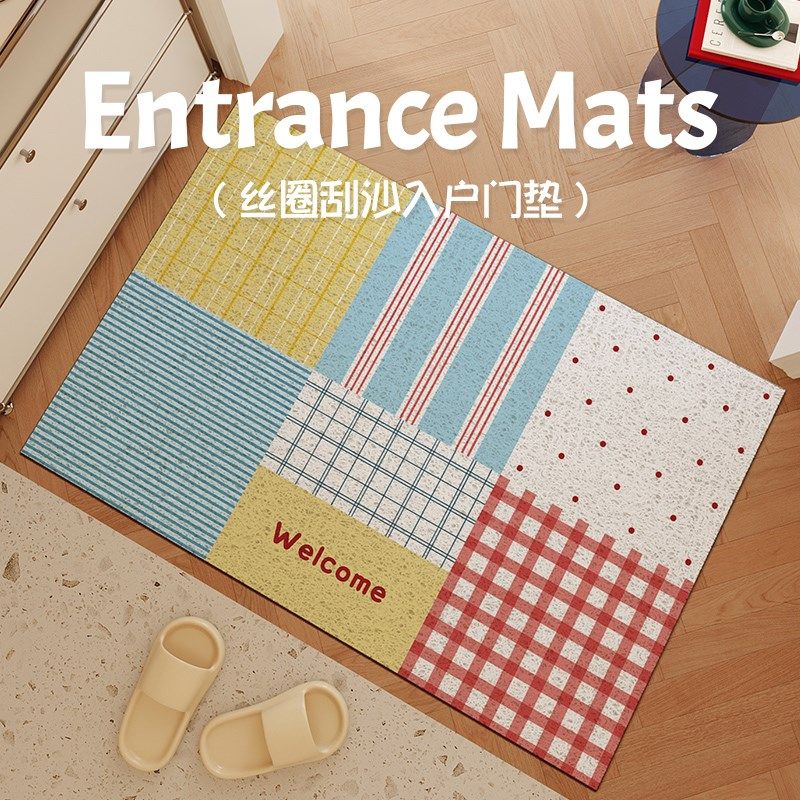 入户门地垫耐脏免洗网红丝圈pvc轻奢简约现代门口进门地毯垫子