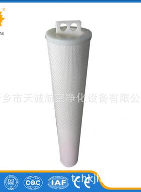 天诚供应60寸大流量折叠水滤芯HF60PP001A01