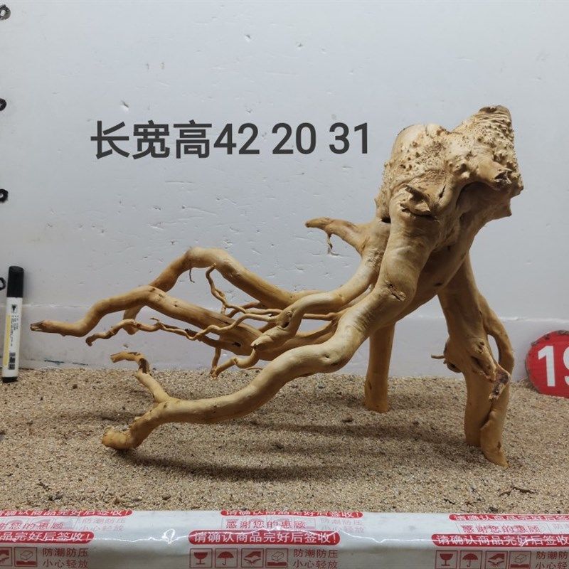 杜鹃根造景沉木一木成景草缸造景水陆缸雨林缸南美缸爬缸莫斯树