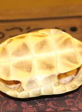 天然完整真乌龟草龟壳文玩盘玩手把件龟甲家居客厅摆件送饰品礼品