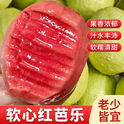 广西奶油红心白心番石榴软糯芭乐