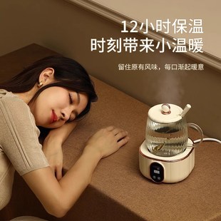 CEOOL养生壶mini多功能养生杯电炖杯小型办公室花茶煮茶器一人女