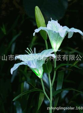 太阳能2头白色百合花灯LED花园灯太阳能景观装饰灯公园小区别墅用