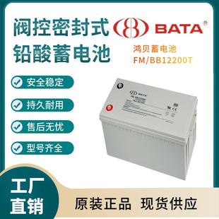 电源备用 鸿贝蓄电池FM 联保 12V200AH 电子设备 BB12200T
