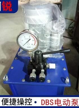 厂家便携式电动油泵小型液压泵DBS电动油泵超高压电动泵