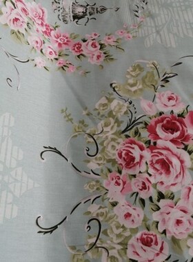 全棉田园风格枕套两个蓝绿色纯棉带拉链枕套热销推荐一对装公主风