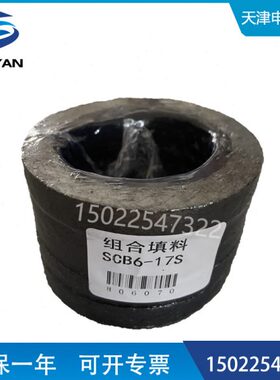 吹灰器填料组SCB6-17S密封填料 内管组合填料 盘根环 石墨填料环