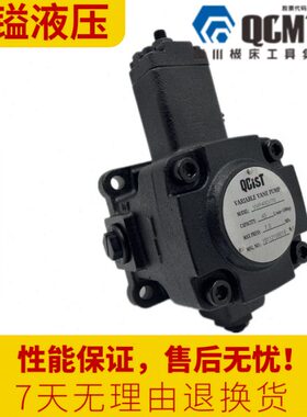 QCIST秦川奇斯特VVP40B/70 VVP20D/55 VVP30A/35 15C/20叶片油泵