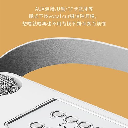 爆款YS-224家庭ktv音响套装户外家用卡拉ok一体机K歌蓝牙音响套装