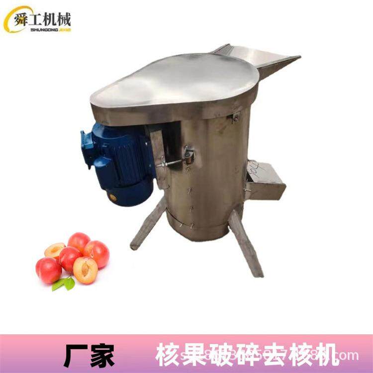 龙眼打浆脱核机 果汁加工水果去核机 不锈钢大型去核设备