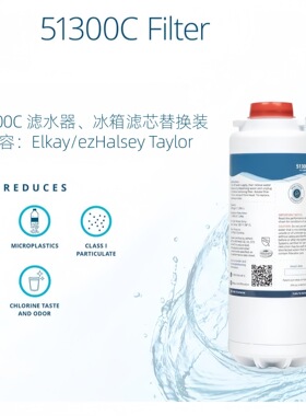 净水器滤芯51300C短款过滤器替换芯阻垢冰箱滤芯学校家用过滤器