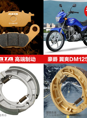 适用摩托车DM125 DM150翼爽HJ125 HJ150-23A前后碟刹片刹车皮鼓刹