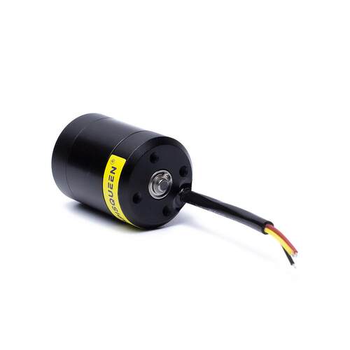 APISQUEEN 水下电机2828 12-24V 80-150W无刷防水电机用于推进器