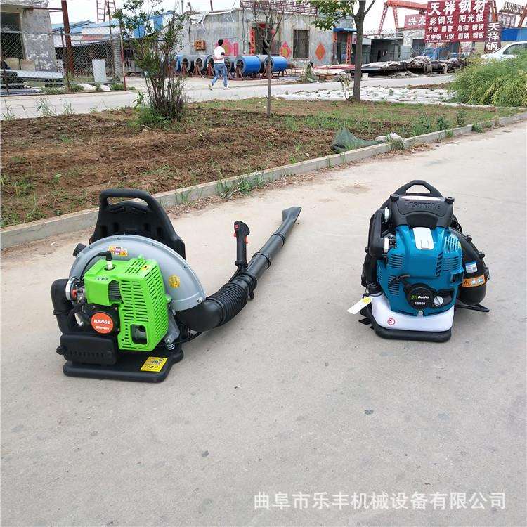 园林除尘吹风机 大功率汽油式路面吹雪机 公园社区落叶清理机